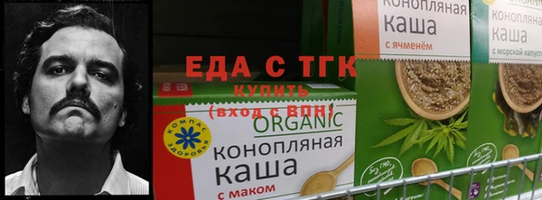 бошки Бородино