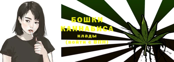 бошки Бородино