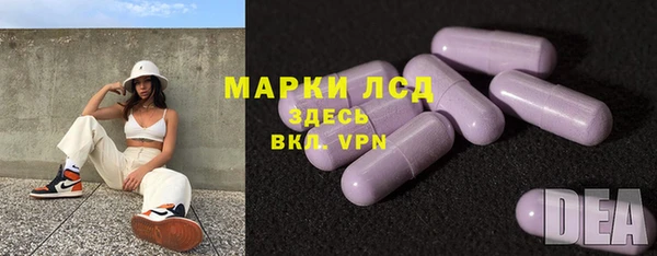 бошки Бородино